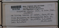 Image Associated With the Occurence